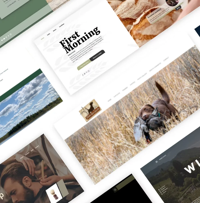 Full-Service Digital Marketing MN | Blue Link Advertising