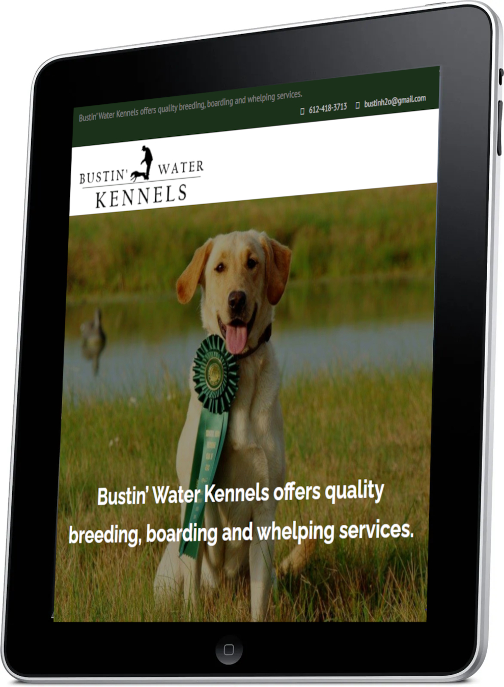 Custom Web Design & Development MN | Blue Link Advertising